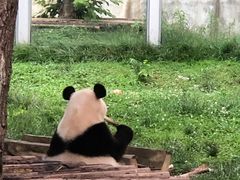 -西安秦岭野生动物园