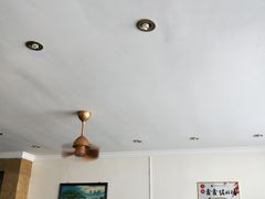 -15年老字号鑫鑫猪肚鸡·椰子鸡海南火锅(兴隆华侨农场店)