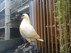 -琬苑鸽庄·川粤融合菜(解放碑总店)