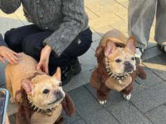 -赤柱市集