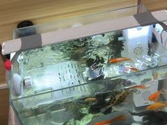 -壹天自助小火锅·贵州地摊火锅