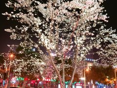 -手抄板凳江南菜(湖滨商业街店)