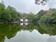 -深圳国际园林花卉博览园