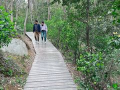 -上海佘山国家森林公园西佘山园