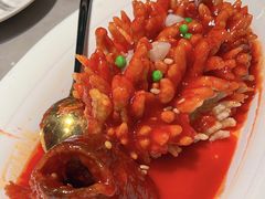 -醉庐·新上海菜(南京西路店)
