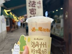 -猫的魔法密林(衣裳街店)