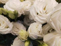 -静岸花卉园艺(三星坊店)