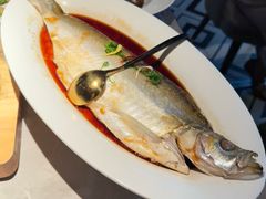 -醉庐·新上海菜(南京西路店)