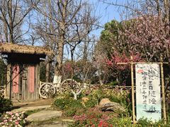 -圩墩遗址公园