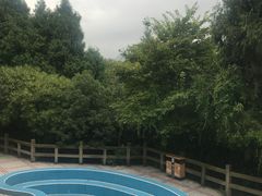 -寻龙山风景旅游区