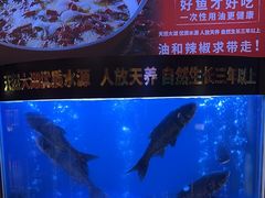 -潇湘码头·鲜湘菜(清河店)