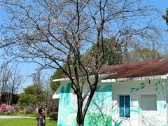 -金鸡湖桃花岛