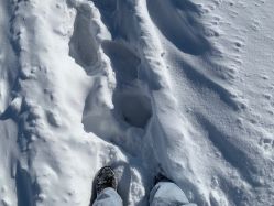 -大秃顶子山