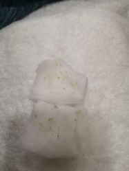 -苗方清颜痘肌研究所