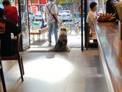-DECAMERON十日谈(卓悦汇店)
