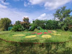 -泗洪洪泽湖湿地景区