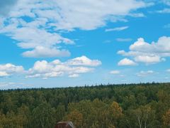 -峡谷浮石林景区