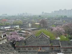 -光岳楼