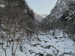-青峰峡国家森林公园
