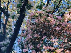 -国家植物园南园