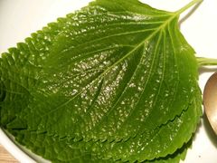 -王妃家(明洞中央店)