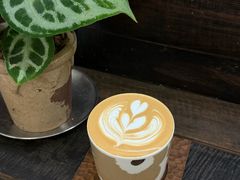 -竹子咖啡bamboo coffee