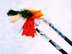 -聚福山莊·寻味顺德(北滘店)