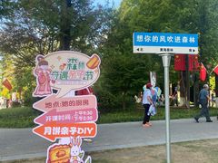 -黄海国家森林公园