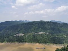 -铁山坪森林公园