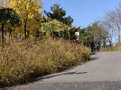 -东郊湿地公园