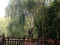 -西安市长乐公园