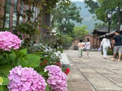 -幽岚山·童话森林