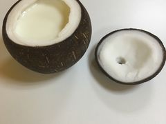 -志龙皇冠吃货椰子铺
