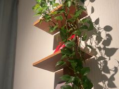 -瓦舍茶馆(聚源路店)