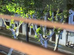 -橘酱餐厅