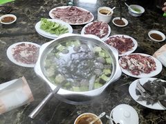 -原野牛肉岛