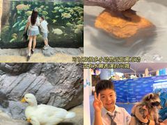 -南昌融创海世界