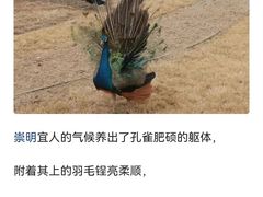 -东平国家森林公园