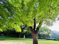 -上海市龙华烈士陵园