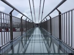 -WFC会仙楼观景台