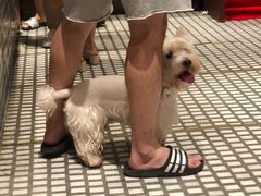 -Luneurs(幸福里店)