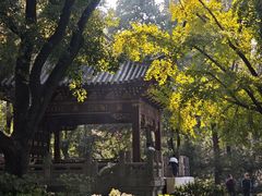 -汇龙潭