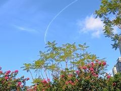 -海心沙亚运公园