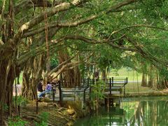 -人民公园(罗湖区)