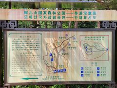 -帽儿山国家森林公园