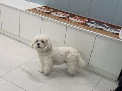 -纳吉亚猫专科动物诊疗中心(蒋宅口分院)