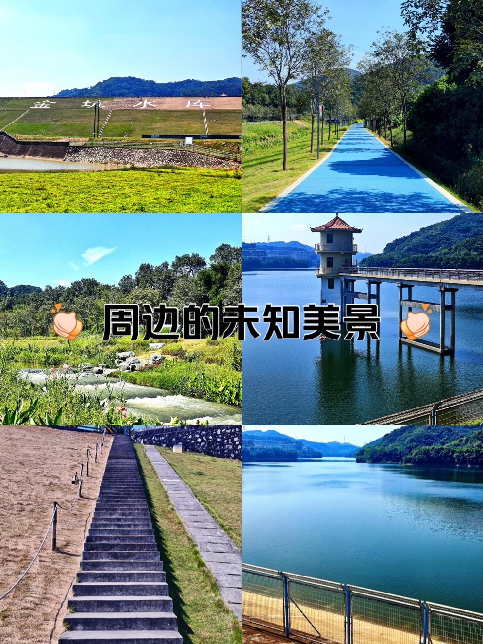 青田金坑水库简介图片