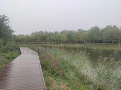 -东郊湿地公园