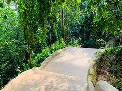 -南山植物园