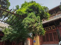 -洛阳白马寺